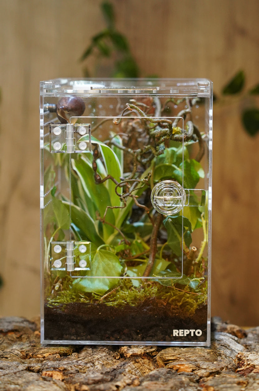 Terrarium Repto Terra Clear Deluxe Ansicht vorne