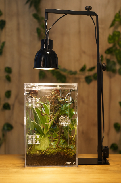 Terrarium Repto Terra Clear Deluxe mit Lampe