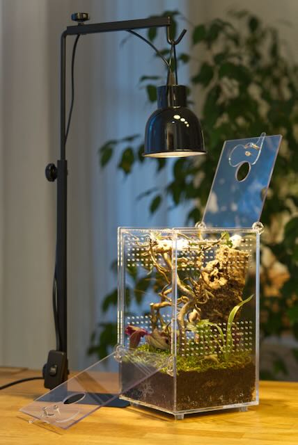 Starterset Komplettset Elegante