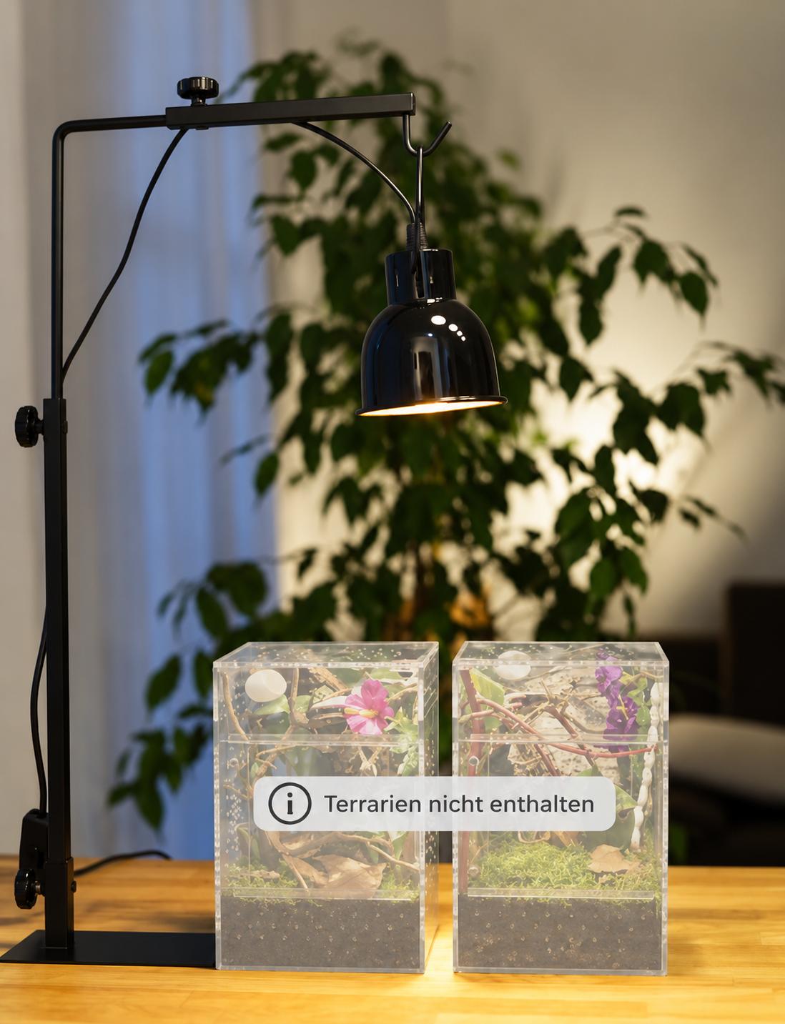 Licht & Wärme Set „Lumina“ für Terrarien
