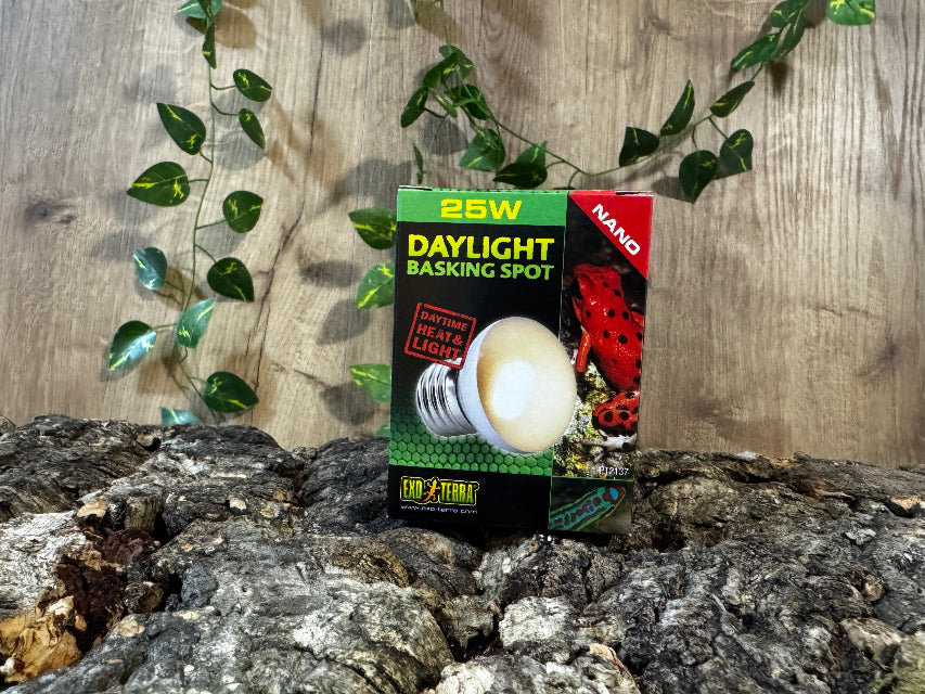 Exo Terra Daylight Basking Spot Nano
