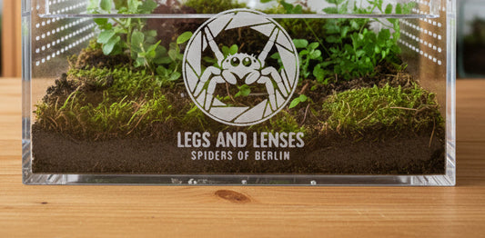 Legs And Lenses Special Edition Terrarium
