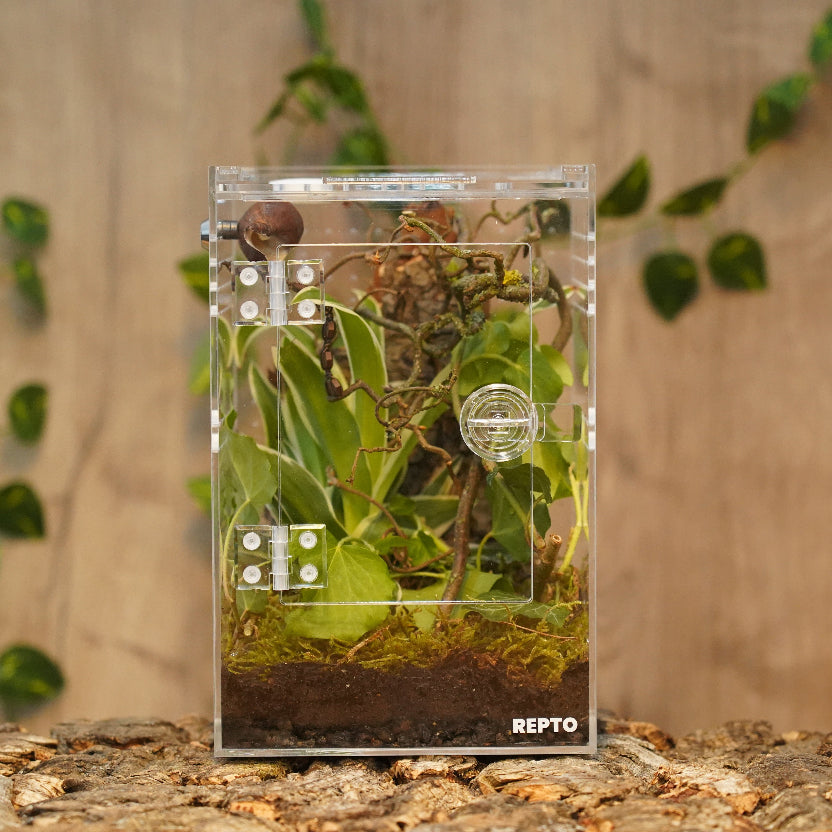Terrarium Repto Terra Clear Deluxe Ansicht vorne