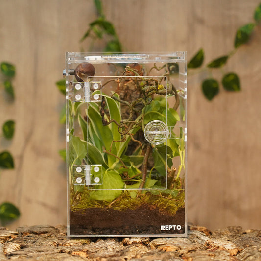 Terrarium Repto Terra Clear Deluxe Ansicht vorne