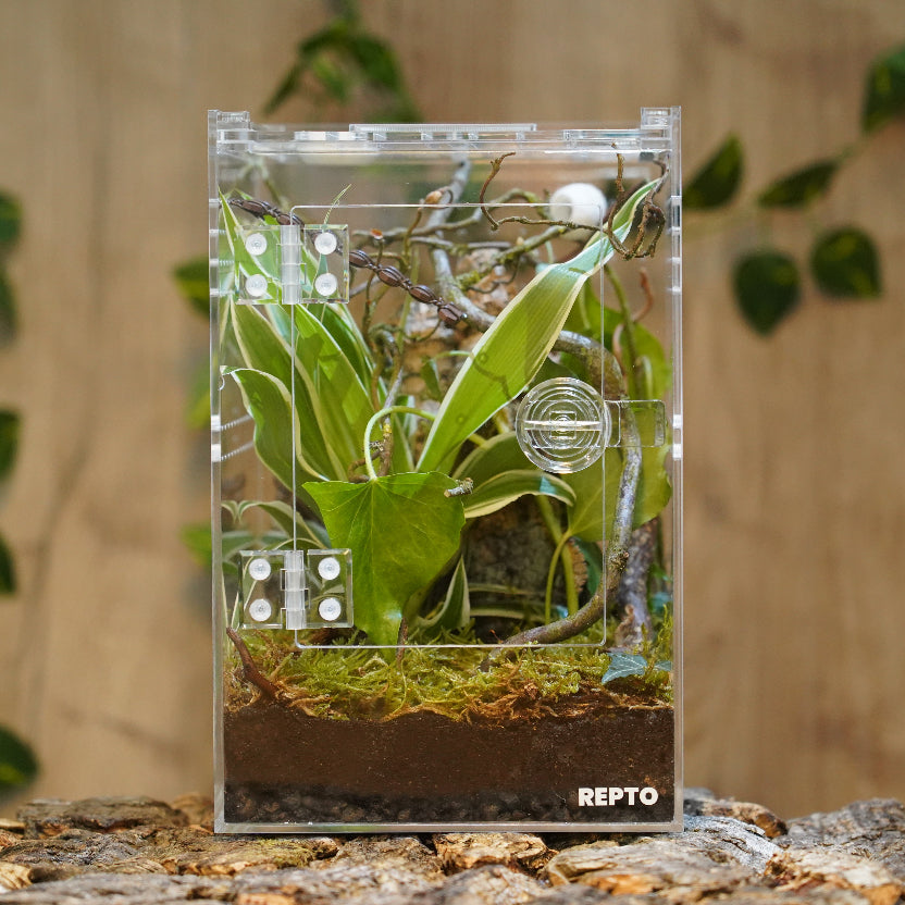 Terrarium Repto Terra Clear Deluxe Ansicht vorne