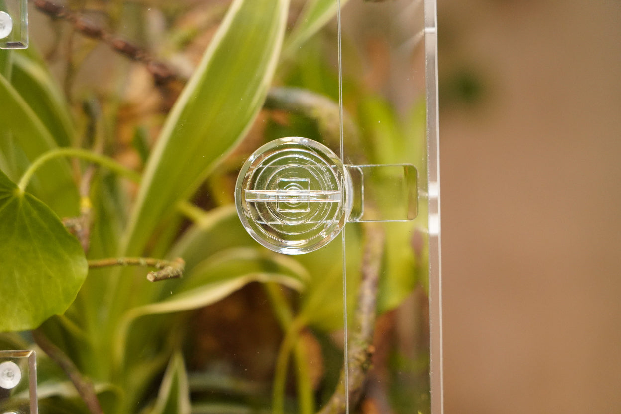 Terrarium Repto Terra Clear Deluxe Ansicht Detail