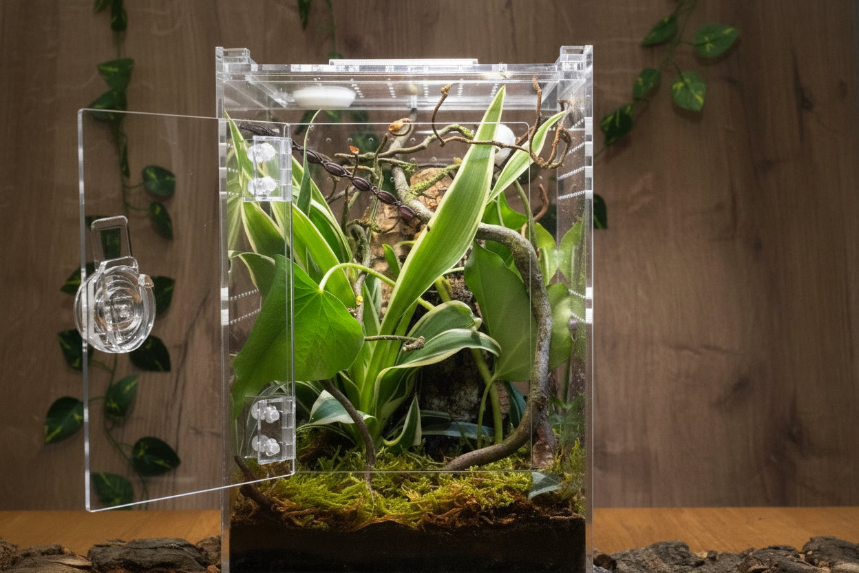 Terrarium Repto Terra Clear Deluxe Ansicht vorne