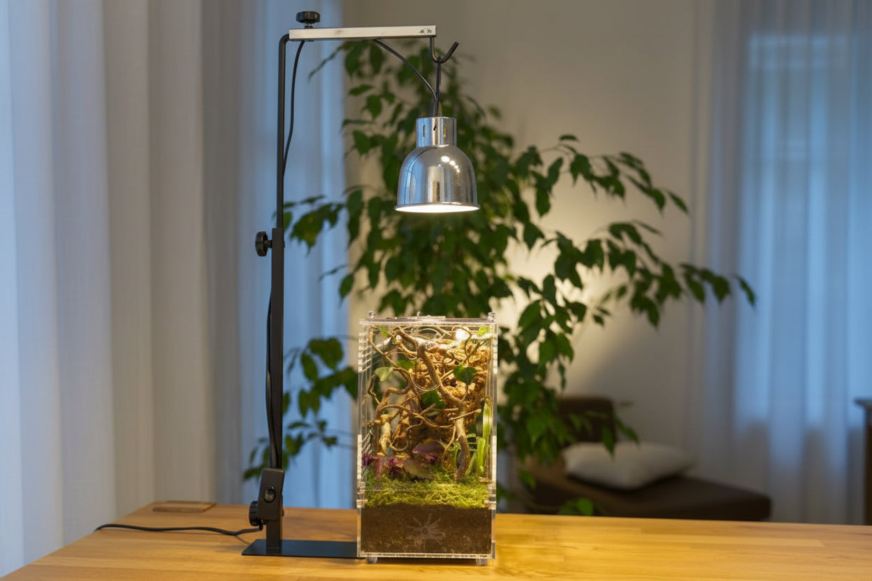 springspinnen Starterset Komplettset Elegante mit Lampe und Lampenständer